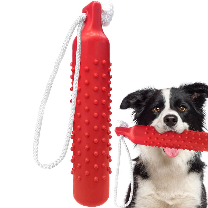 BINGPET Dog Float Bumper Toy,10.8 Inch Large Training Dummy Retrieving Bumpers Summer Pool Toy Tug Game for Large XL Dogs Retriever - Image 1